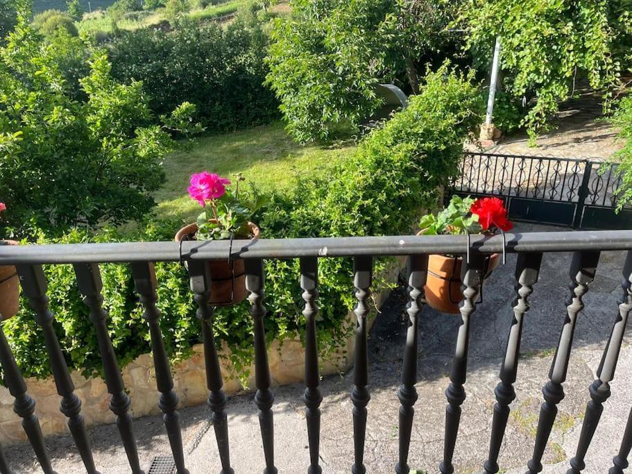 Vila Casa A Boga Ribeira Sacra Abeleda Exteriér fotografie
