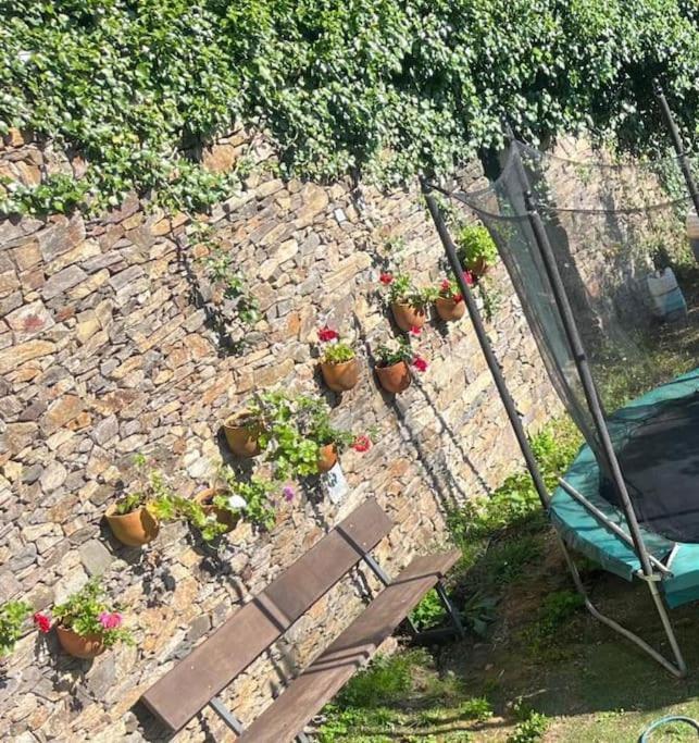 Vila Casa A Boga Ribeira Sacra Abeleda Exteriér fotografie