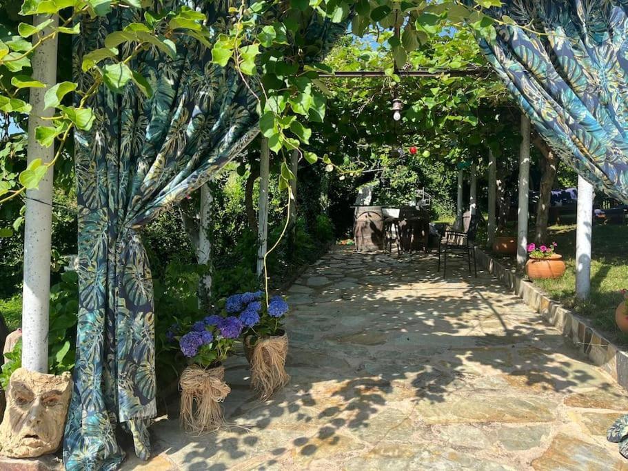 Vila Casa A Boga Ribeira Sacra Abeleda Exteriér fotografie