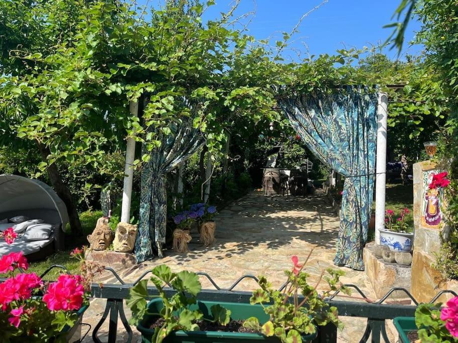 Vila Casa A Boga Ribeira Sacra Abeleda Exteriér fotografie